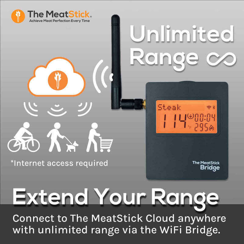 The MeatStick WiFi Bridge Set