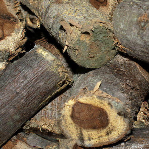 Hickory Smoking Wood Chunks 3kg | Outdoor Magic