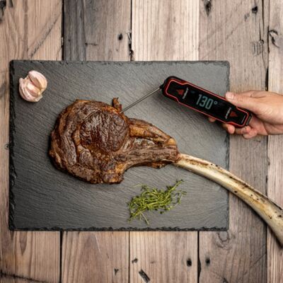 FireBoard Spark Instant Read Probe hover