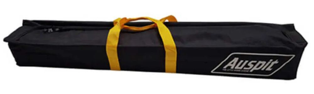 Auspit Bag - Gold Handles