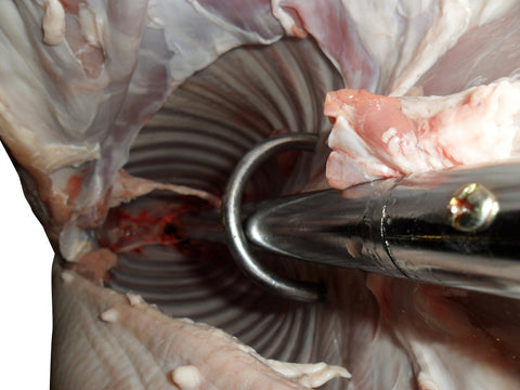 How To Attach A Pig To A Rotisserie