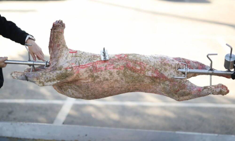 Raw whole lamb secured on a spit roaster skewer, being balanced with a counter weight before cooking.