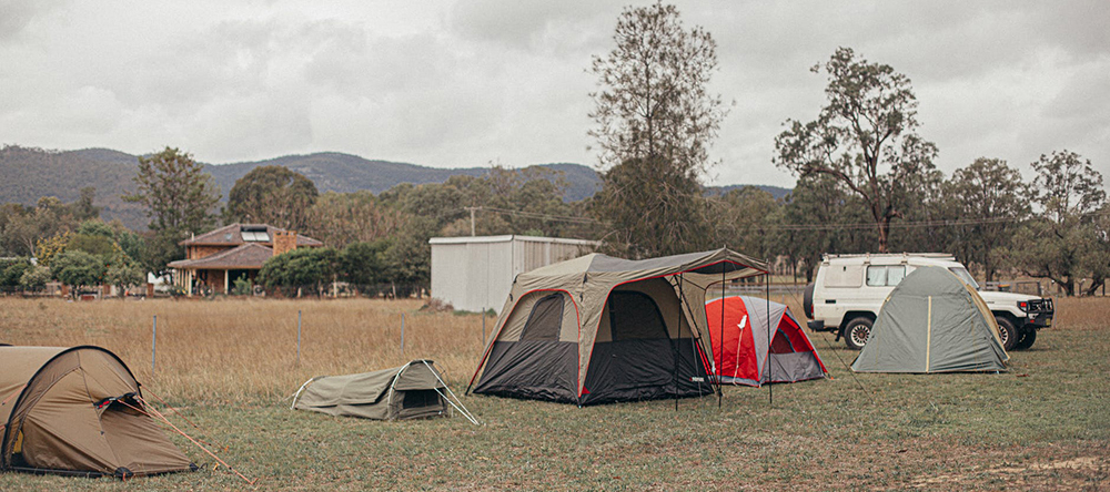 This image shows camping tents for camper in Australia Photo by Daria Shevtsova from Pexels