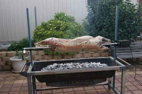DIY spit rotisserie with whole lamb roasting over coals, motor on one end of the spit, set in a backyard with greenery.