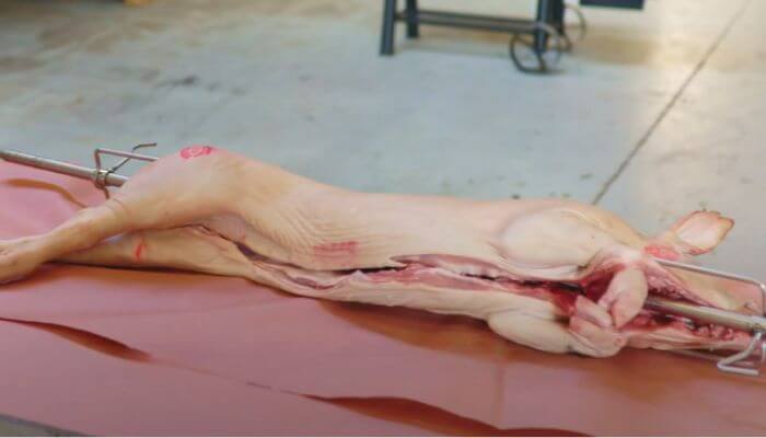 How Long Does It Take to Cook a Whole Pig on a Spit Roaster?