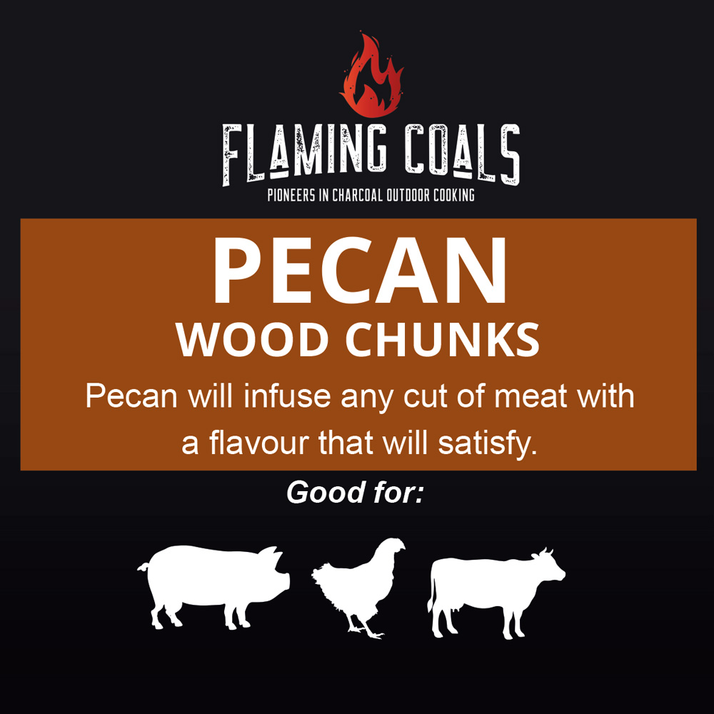 Smoking Wood Chunks 500g | Australian Grown Wood - Pecan