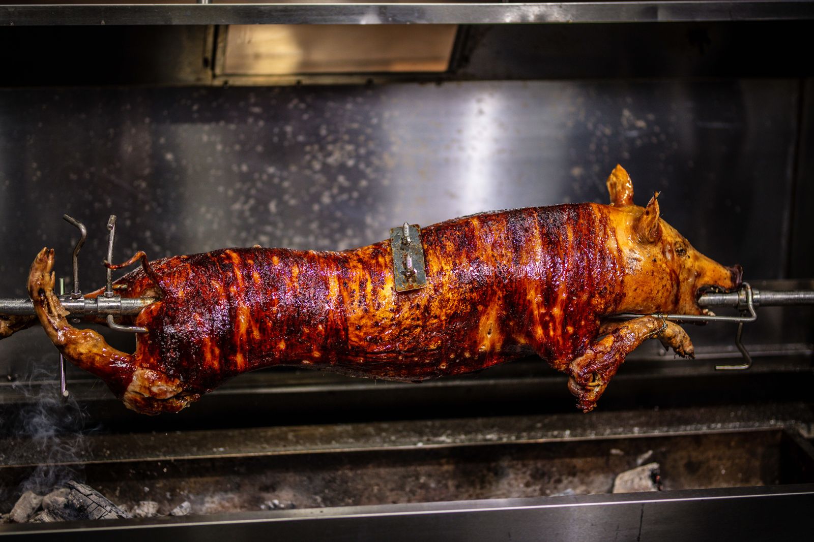 Whole pig secured with spit forks and brackets, roasting on a rotisserie spit inside a commercial spit roaster.