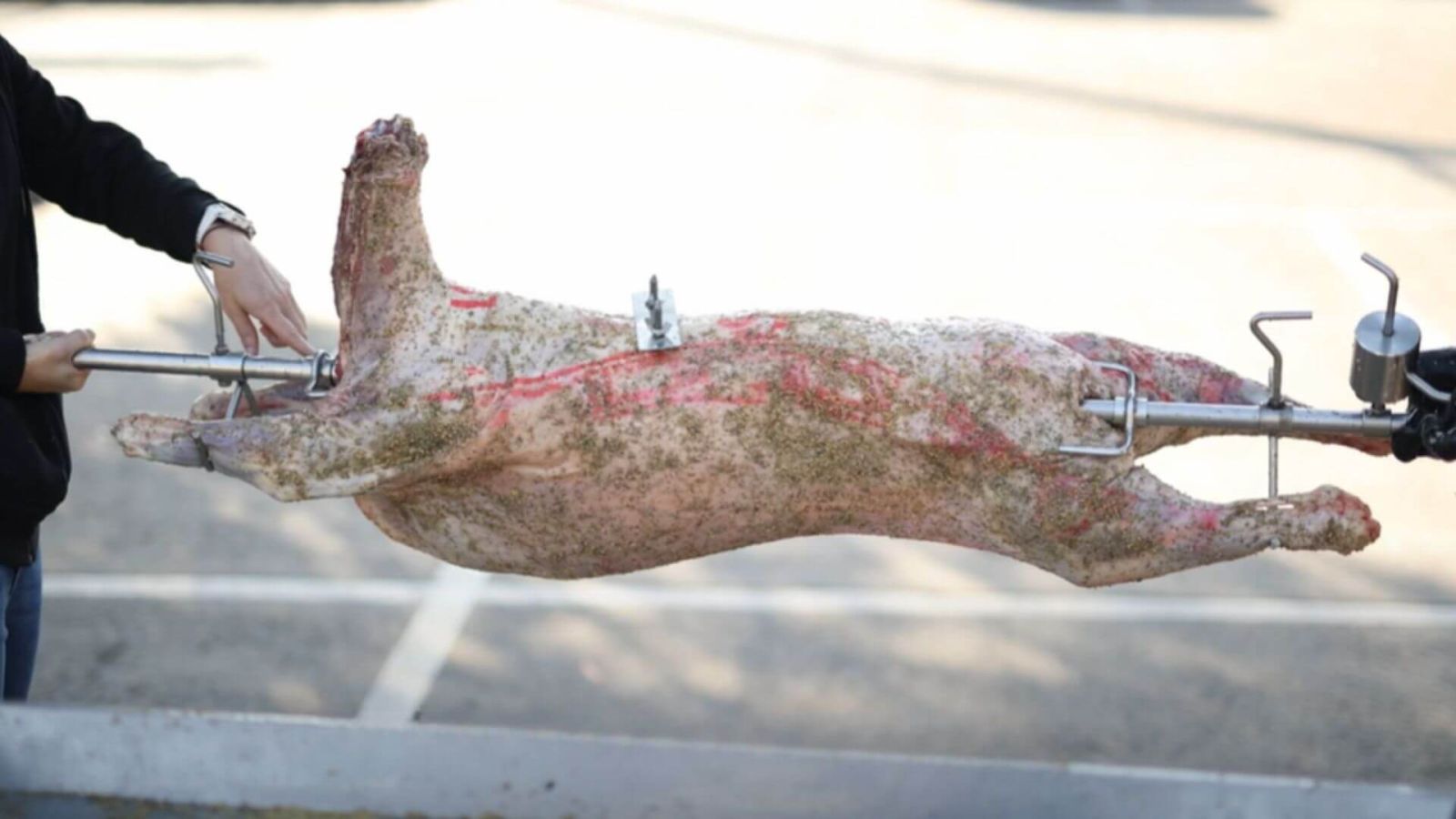 Spit roast lamb balanced on rotisserie skewer using counterweight before cooking