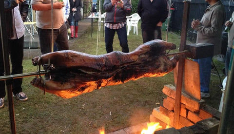 DIY Charcoal Spit Roaster