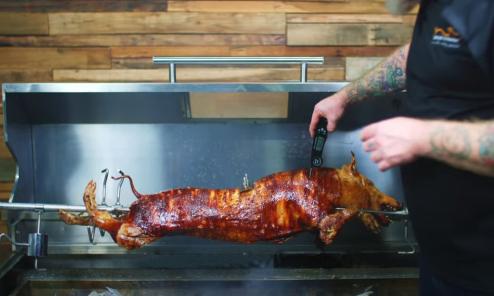 Whole pig roasting on a stainless steel rotisserie spit, with a person checking the internal temperature using a digital meat thermometer. The pig’s skin is golden brown and crispy inside a commercial spit roaster.