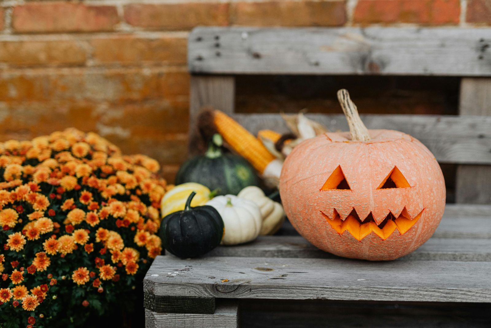 A carved jack-o'-lantern pumpkin with a spooky face, surrounded by a variety of small pumpkins and vibrant autumn flowers on a rustic wooden bench, perfect for a Halloween BBQ theme.