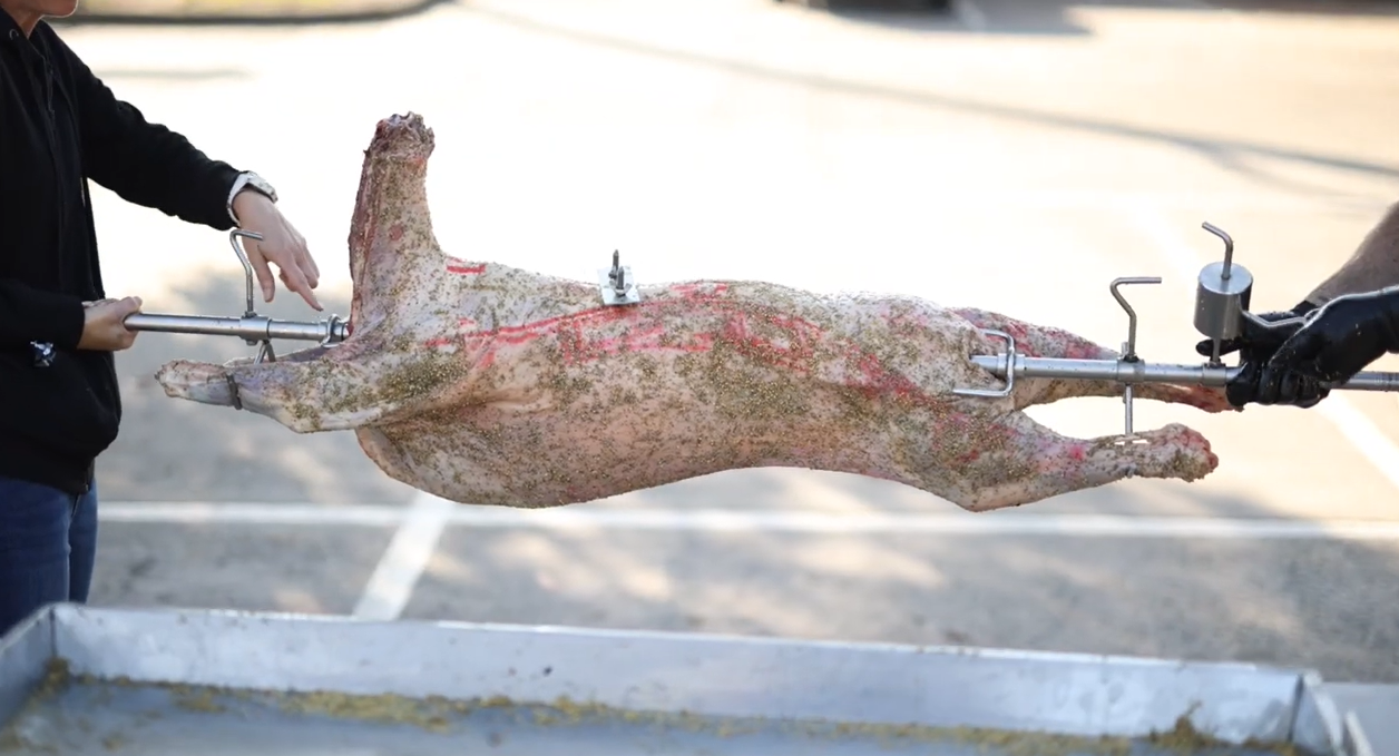 Balancing whole lamb on spit rotisserie before cooking