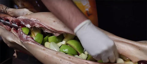 This picture shows the inside of a pig being stuffed and filled with apples before spit roasting