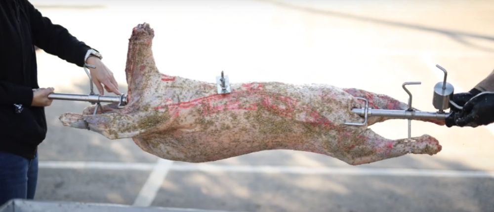 This_image_shows_lamb_shoulder_being_balance_on_skewer