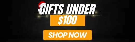Christmas 2025 - Gifts under $100