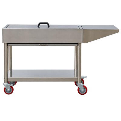 Stainless Steel Charcoal BBQ with Firebricks