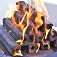 Flaming Coals HotRods Charcoal Briquettes