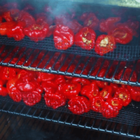 Smoked Chilies made using a Cold Smoke Generator image