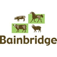 Bainbridge