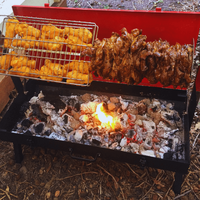 Flaming Coals Mini Spit Roaster A Huge Hit image