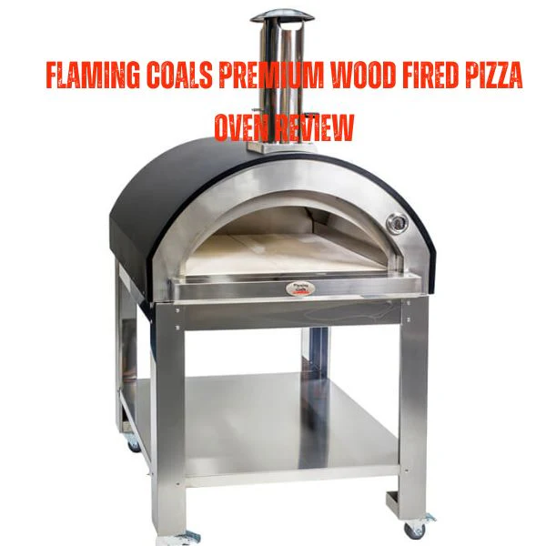 Flaming Coals Premium Wood Fired Pizza Oven Review image