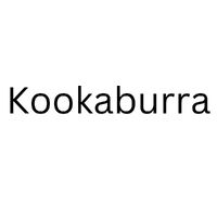 Kookaburra