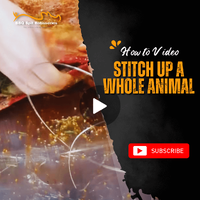 How to Stitch up a Whole Animal image