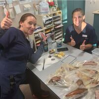Caring for the Community image